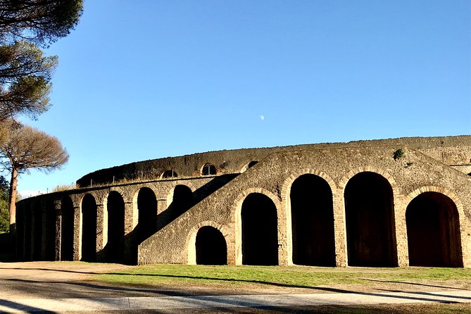 Pompeii Small Group Tour & Food/Wine tasting at Mt. Vesuvius - Wine, volcanic soil, and Roman methods