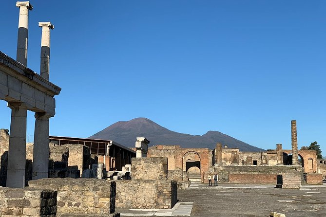 Pompeii Small Group Tour & Food/Wine tasting at Mt. Vesuvius - Who should book this five-hour experience