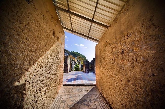 Pompeii Small Group Tour & Food/Wine tasting at Mt. Vesuvius - Two focused hours inside Pompeii