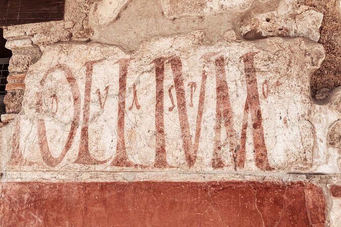 Pompeii Small Group with an Archaeologist and Skip The Line - The main street and the city’s everyday movement