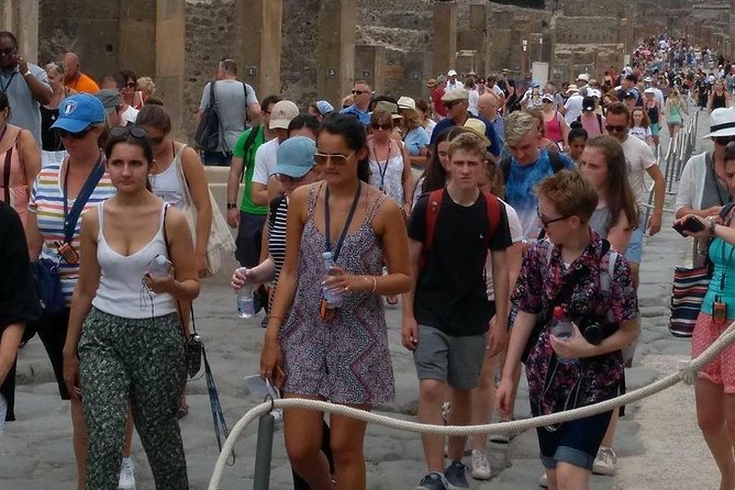 Pompeii the Ancient City (Tour+Transfer) - House of the Faun and Pompeii’s wealthy residents