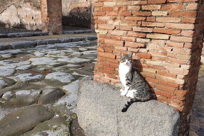 Pompeii the Ancient City (Tour+Transfer) - Teatro Grande and public entertainment