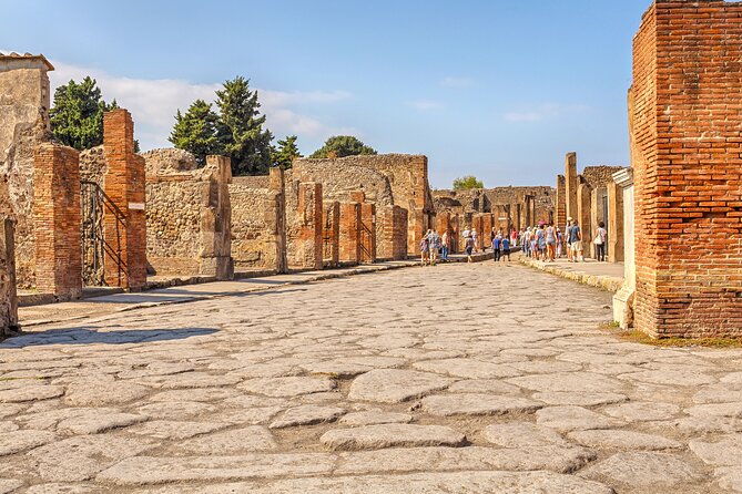 Pompeii Ticket + Tour with Optional Tasting Experience at Pompeii - Who Will Get the Most From This Experience?