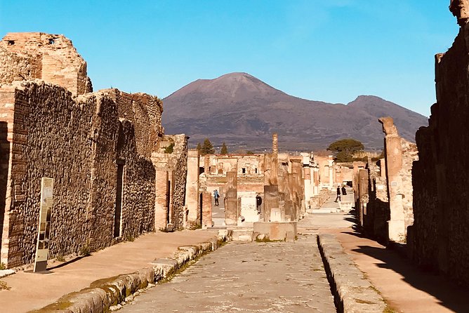 Pompeii Tour & Admission included in a Small Group - Entering from Porta Marina and seeing Venus first