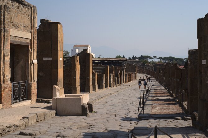 Pompeii Tour & Lunch with Wine Tasting Experience - What lunch includes, and what it does not
