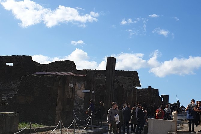 Pompeii tour with entrance ticket! - What happens at Pompei Scavi Villa dei Misteri