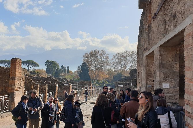 Pompeii tour with entrance ticket! - Is the $78.10 price good value?