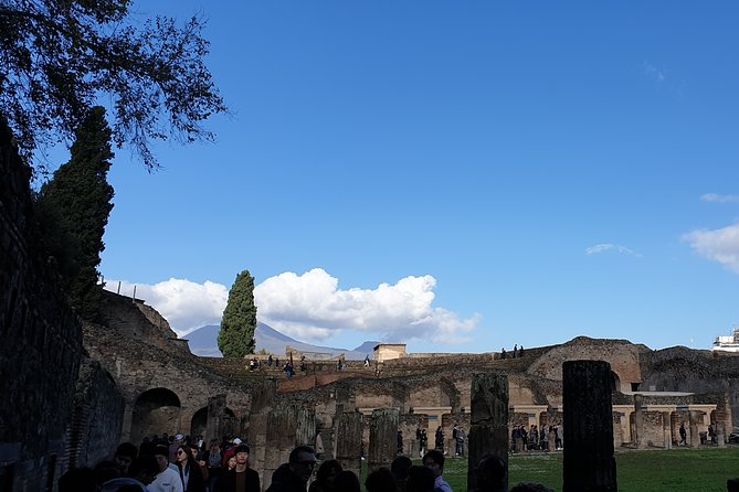 Pompeii tour with entrance ticket! - What the reviews reveal about service