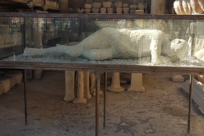 Pompeii Tour with experienced guide - Is $133.01 plus admission a fair price?