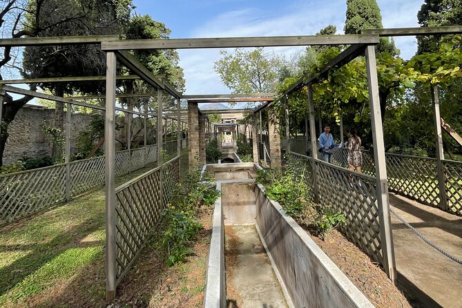 Pompeii Unveiled: 3-Hour Private Tour In-Depth Discovery - Palestra Grande and the evidence of ordinary life