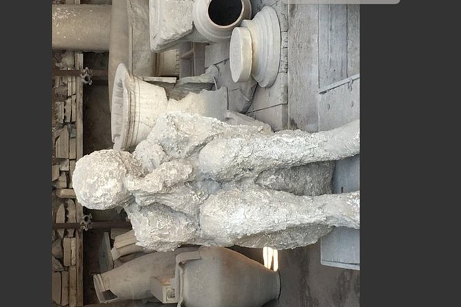 Pompeii, Vesuvius & Wine Tasting Private day Tour - Herculaneum as an alternative or addition