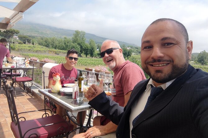 Pompeii, Vesuvius & Wine Tasting Private day Tour - What the driver adds to the day