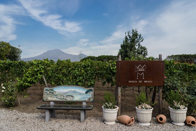 Pompeii Vineyard Escape: Private Wine Tasting & Lunch - Starting at Bosco de Medici Winery