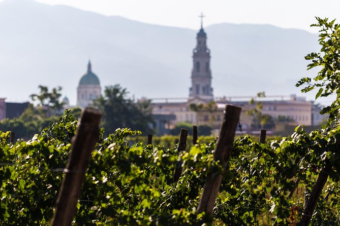 Pompeii Vineyard Escape: Private Wine Tasting & Lunch - Inside the winemaking and refining rooms