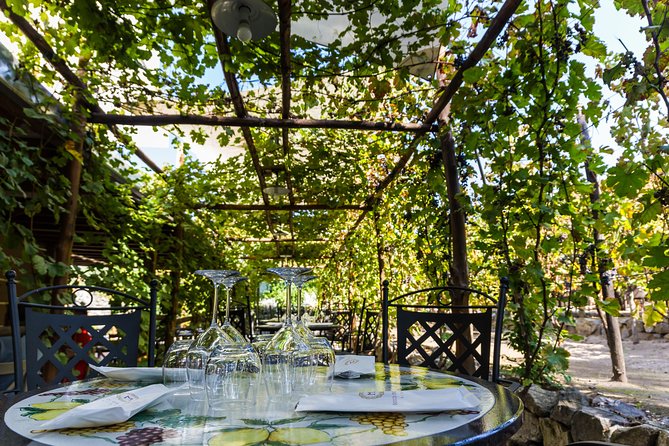 Pompeii Vineyard Escape: Private Wine Tasting & Lunch - Who should book this experience