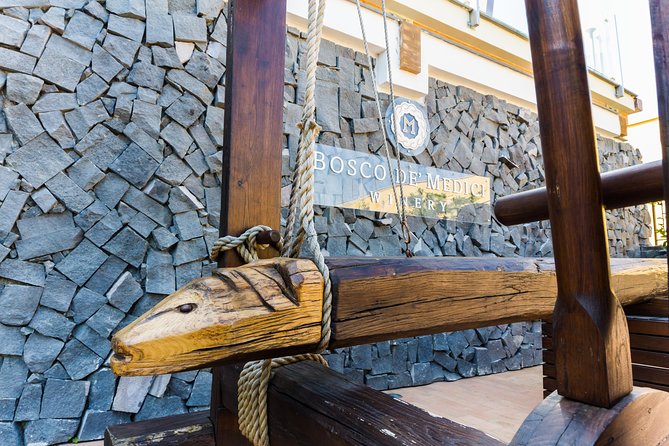 Pompeii Vineyard Escape: Private Wine Tasting & Lunch - The experimental vineyard and Pompeii’s 79 AD necropolis
