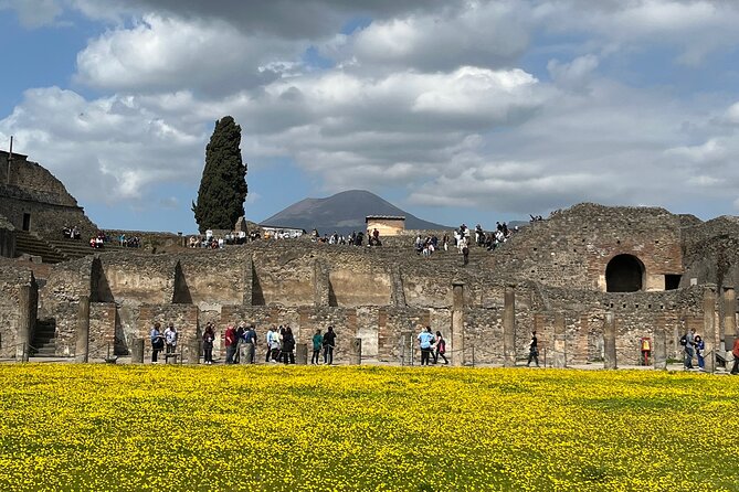 Pompeii walking tour (2hrs) - Roman homes, frescoes, and marble details