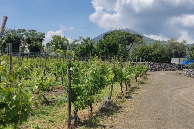 Pompeii & Wine Tasting : Private Day Trip from Naples - The road to the vineyard below Vesuvius