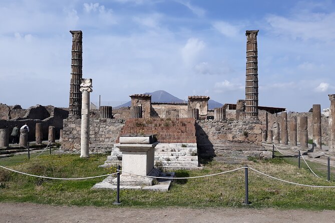 Pompeii & Wine Tasting : Private Day Trip from Naples - What the private vehicle adds