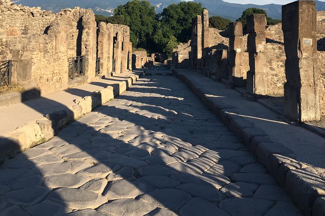 Pompeii with an archaeologist, the original!!! - A focused walk through ancient Pompeii