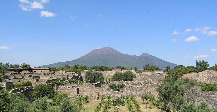 Pompeii with Wine Tasting Private Tour - Why this pairing works so well in six hours