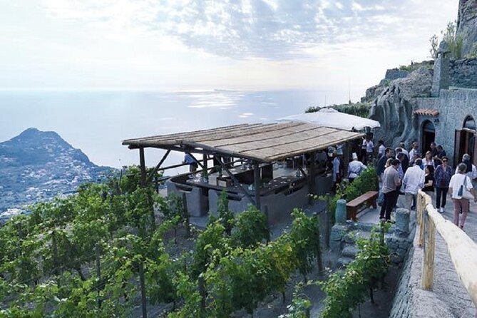 Premium Ischia Wine Tasting Experience with Transfer Included - Why Ischia’s vineyards are worth your morning