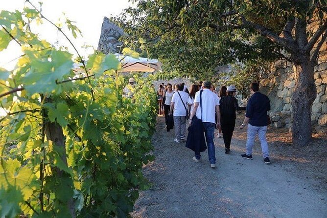 Premium Ischia Wine Tasting Experience with Transfer Included - Salumi and cheese make the tasting more useful