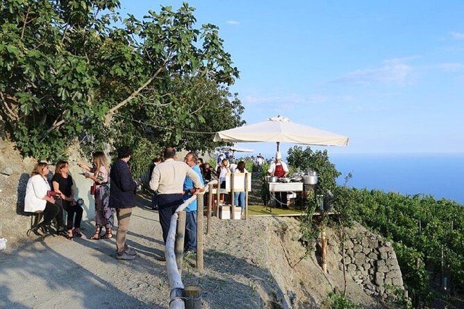 Premium Ischia Wine Tasting Experience with Transfer Included - Pickup makes a short tour easier