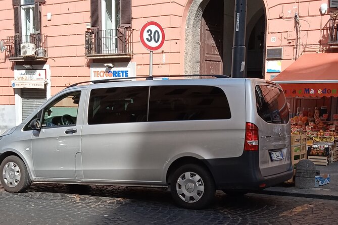 Private day tour: Pompei and Herculenium. - The private minivan is the real convenience