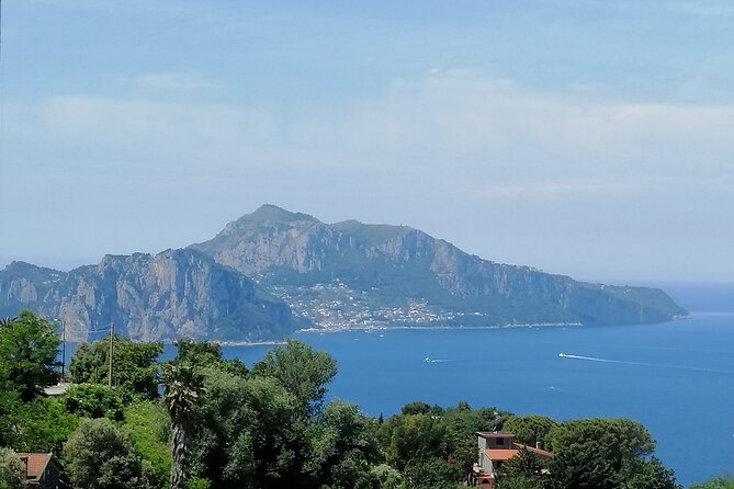 Private day tour: Pompei,Vesuvius and Herculaneum. - Should you book the Pompeii, Herculaneum, and Vesuvius tour?