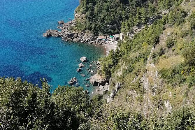 Private day tour: Pompeii, Sorrento and Positano. - Sorrento gives you the relaxed beginning