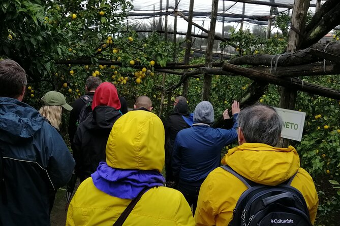 Private day tour: Sorrento, Positano, Amalfi and Ravello. - Why a private car makes this coast easier
