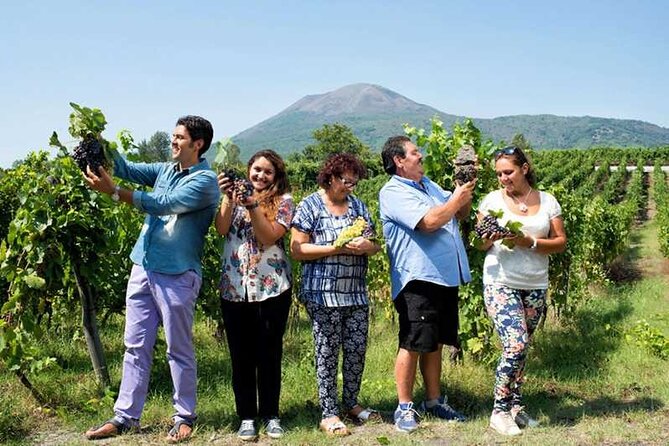 Private day tour: Sorrento, Positano, Amalfi and Ravello. - Ravello offers a quieter change of pace