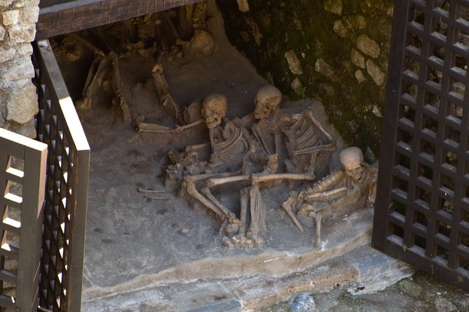 Private Day Tour to Vesuvius, Herculaneum & Pompeii with Pick Up - Pompeii begins with the big picture