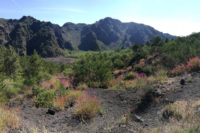 Private Day Tour to Vesuvius, Herculaneum & Pompeii with Pick Up - What the $120.98 price really covers