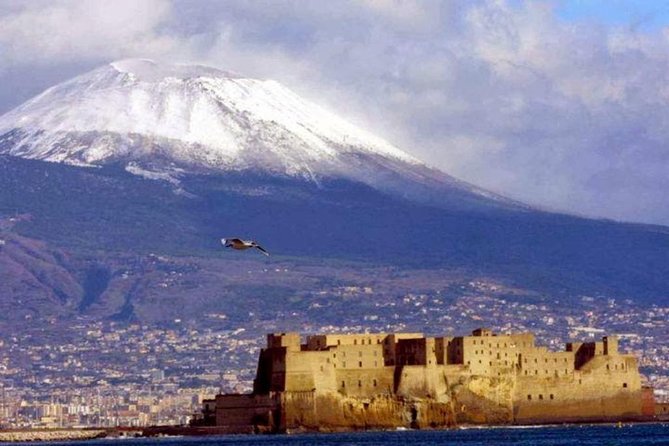 Private Full-Day Tour to Pompeii and Mt. Vesuvius with Winery Visit - A full day from Naples with three very different stops