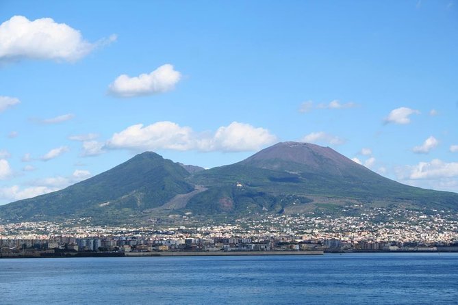 Private Full-Day Tour to Pompeii and Mt. Vesuvius with Winery Visit - What the $300.73 price really buys you