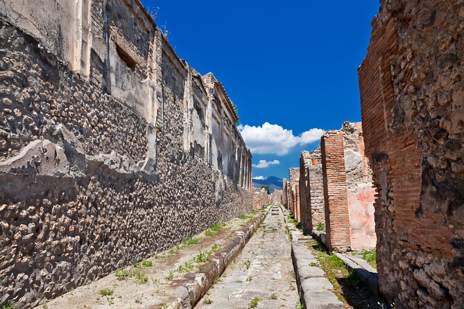 Private Guided Tour in Pompeii - Two hours among Pompeii’s streets and homes