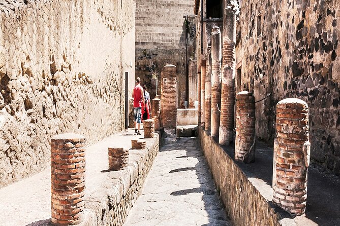 Private Guided Tour in Pompeii - Guide quality and the human side of the visit
