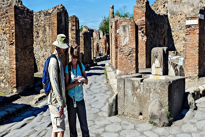 Private Guided Tour in Pompeii - The Naples pickup points