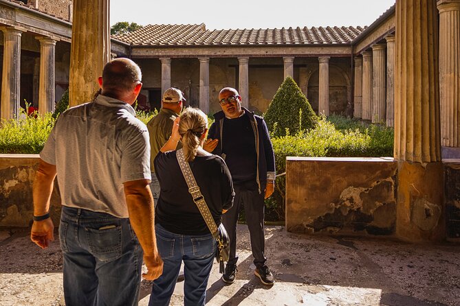 Private guided tour Of Pompei - Why an archaeologist changes Pompeii