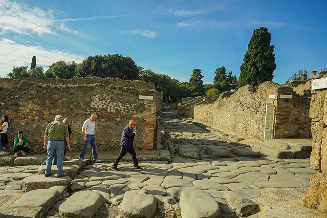 Private guided tour Of Pompei - Hotel pickup, meeting point, and the Vesuvius question