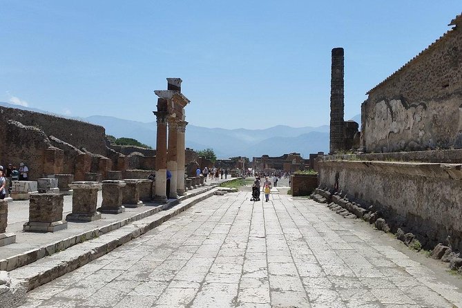 Private Guided Tour of Pompeii and Herculaneum - Timing, heat, and a sensible pace
