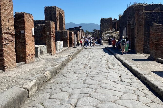 Private Guided Tour of Pompeii Excavations - What the two-hour route covers