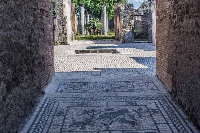 Private Guided Tour of Pompeii. Sunset Tour - Granaries and the Forum baths