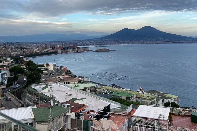 Private Half-Day Sightseeing Tour of Vesuvius National Park - Reaching the Vesuvius National Park entrance