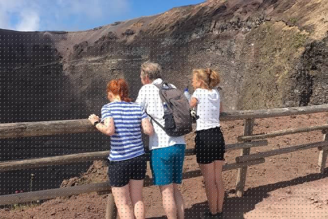 Private Half-Day Sightseeing Tour of Vesuvius National Park - Is $144.19 per person good value?