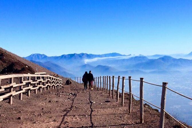 Private Half-Day Sightseeing Tour of Vesuvius National Park - Timing, weather, and cancellation