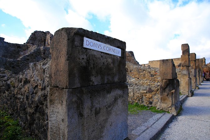 Private Half-Day Tour of The Pompeii Ruins Highlights and Mann - Starting at Pompeii’s archaeological park