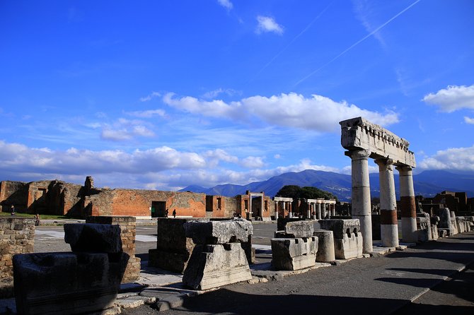Private Half-Day Tour of The Pompeii Ruins Highlights and Mann - Pompeii’s Forum and the city’s center